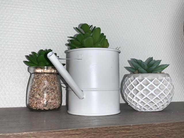 布鲁瓦Studio N5 Terrasse Hypercentre公寓 外观 照片